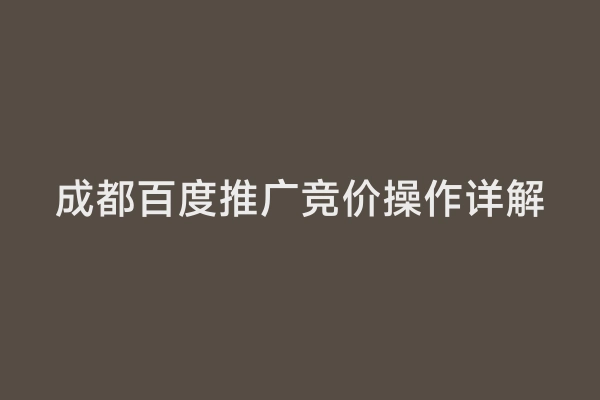成都百度推广竞价操作详解