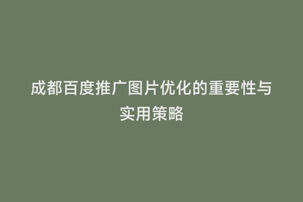 成都百度推广图片优化的重要性与实用策略