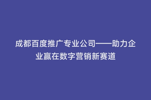 成都百度推广专业公司——助力企业赢在数字营销新赛道
